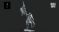 Preview: Grey Castle Bannertrager beritten